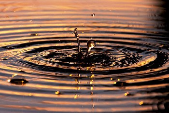 Притча про кола на воді